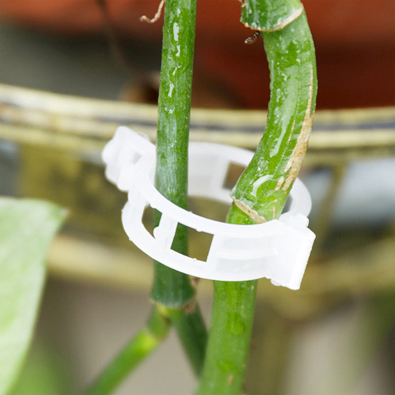 Maliben | Practical Plant Support Clip