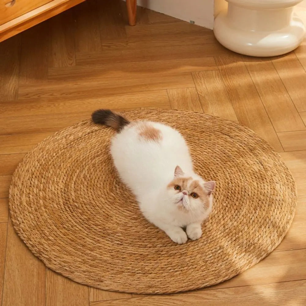 Maliben | Krazeluxe Matte — Finally Peace From Scratching Chaos And The Favorite Spot For Your Cat