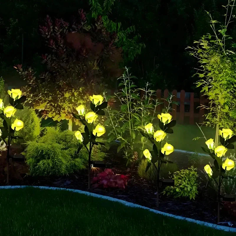 Maliben | Everbloom Solar Flower Lights