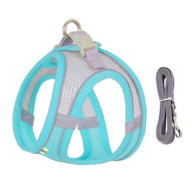 Maliben | Adjustable Harness and Leash Set for Small Dogs and Cats