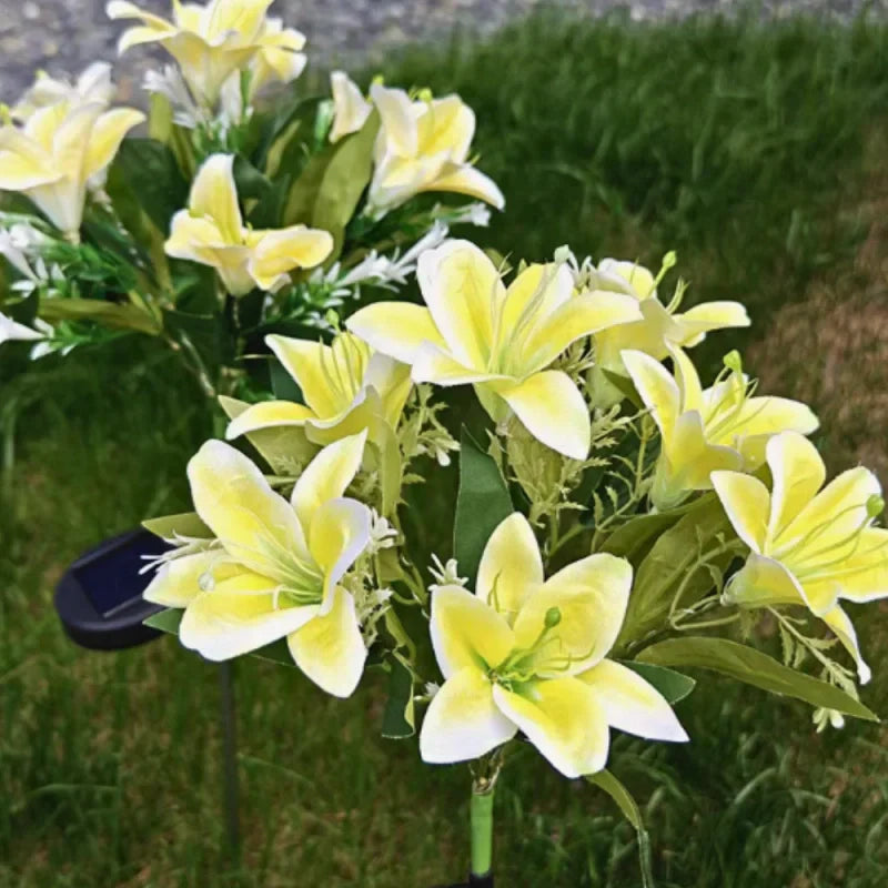 Maliben | Everbloom Solar Flower Lights