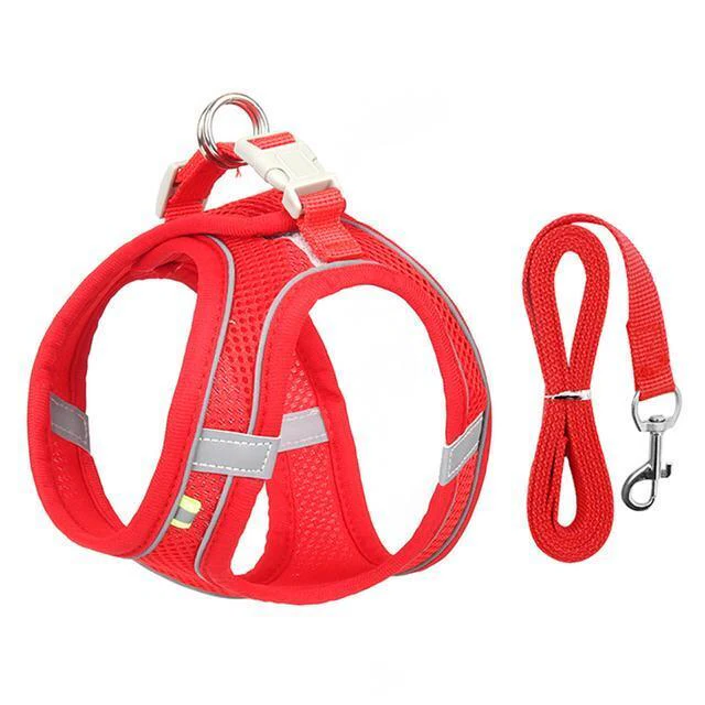 Maliben | Adjustable Harness and Leash Set for Small Dogs and Cats