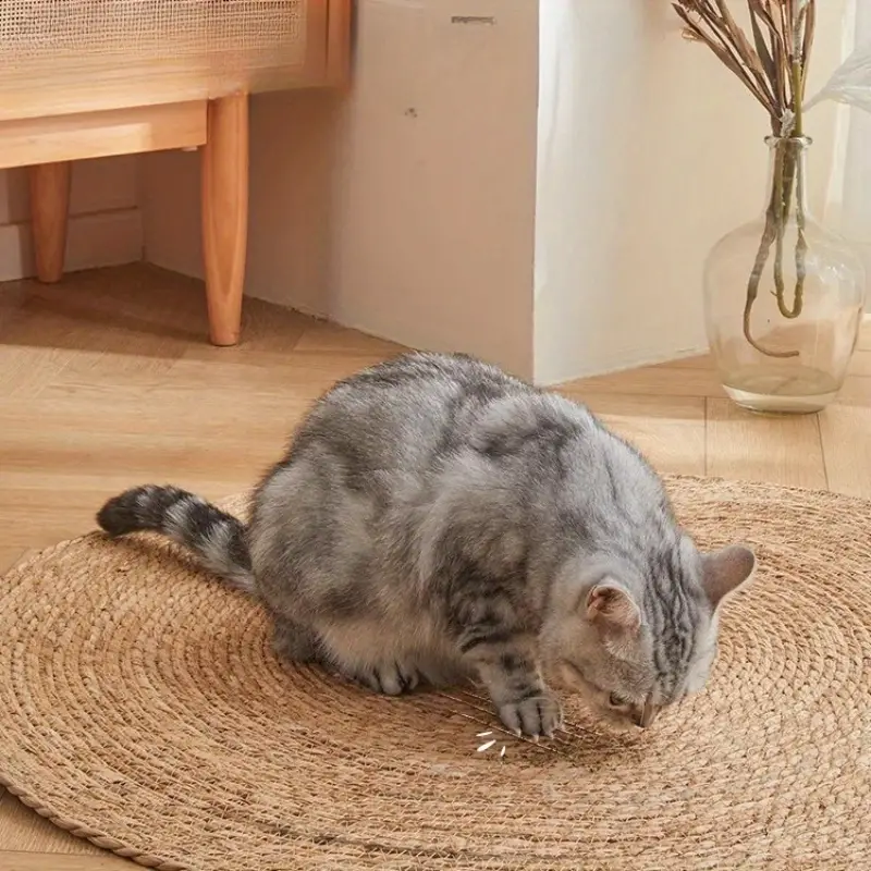 Maliben | Krazeluxe Matte — Finally Peace From Scratching Chaos And The Favorite Spot For Your Cat