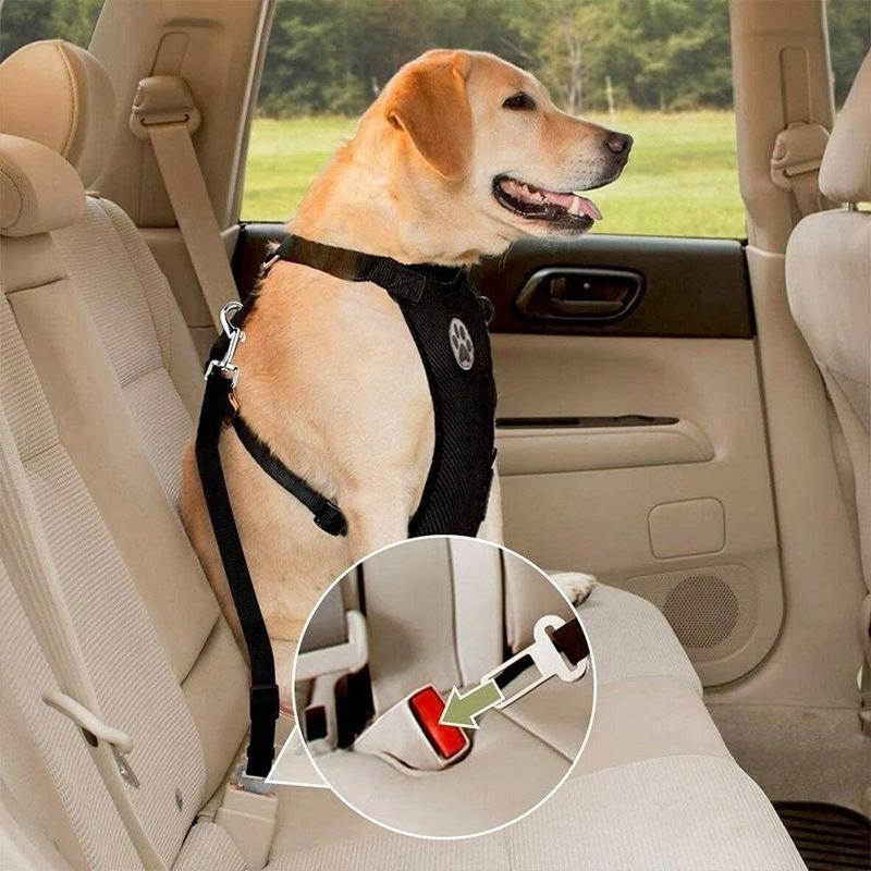 Maliben | Dog Safety Harness Set