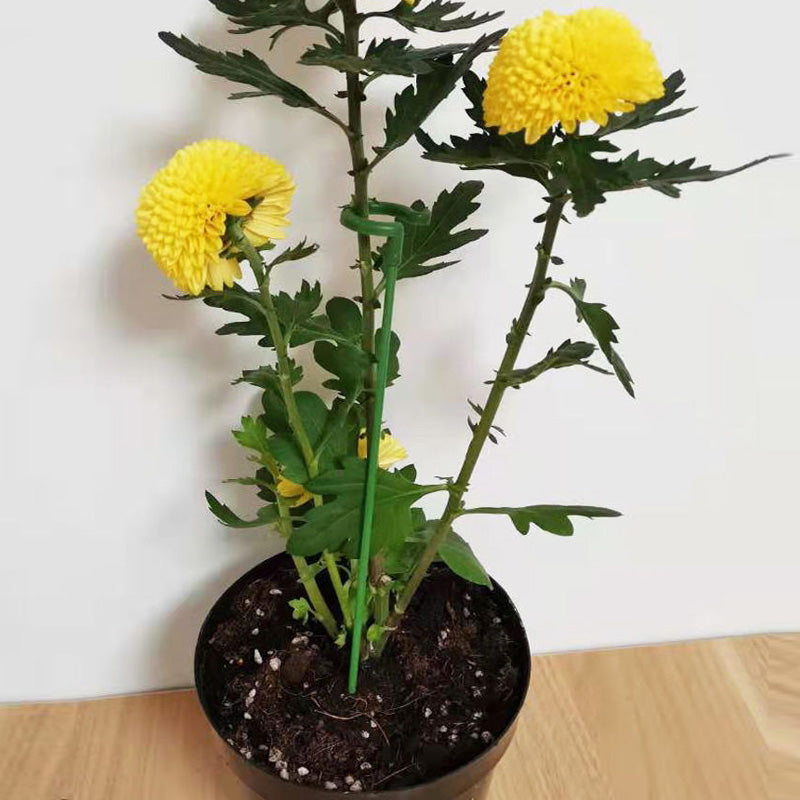Maliben | Plant Support Stake (10 Pieces)