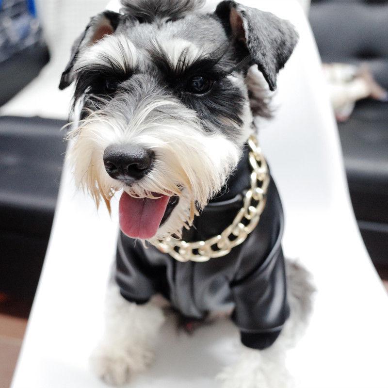 Maliben Thick golden chain pet safety collar