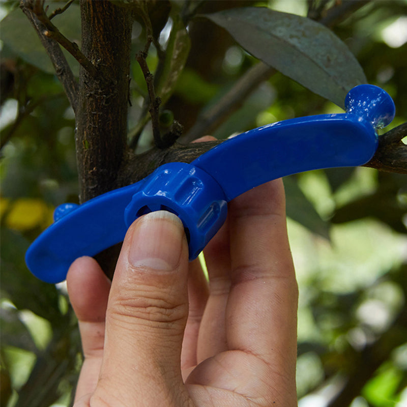 Maliben | Fixative For Branch Modeling