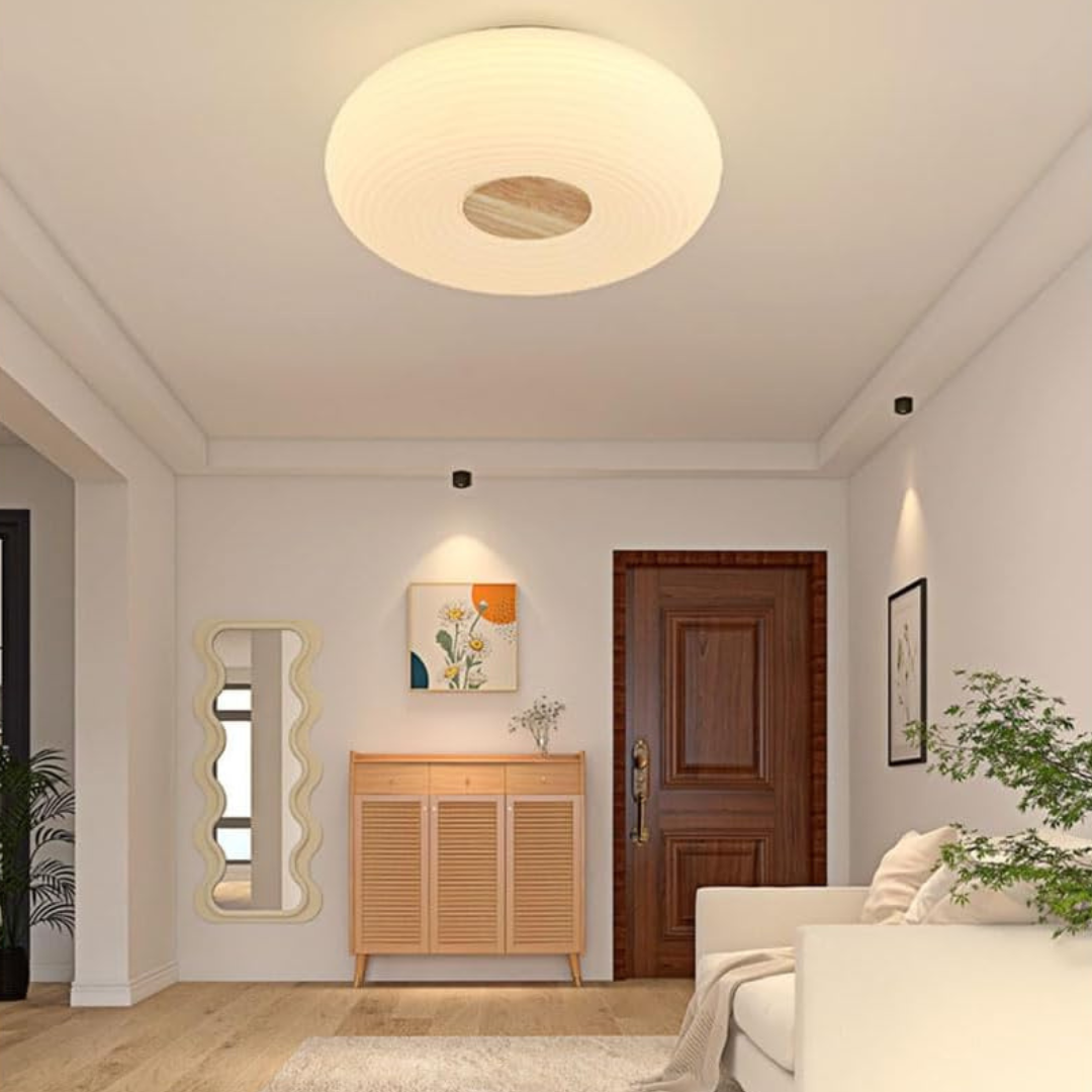 Maliben | Modern Led Ceiling Light
