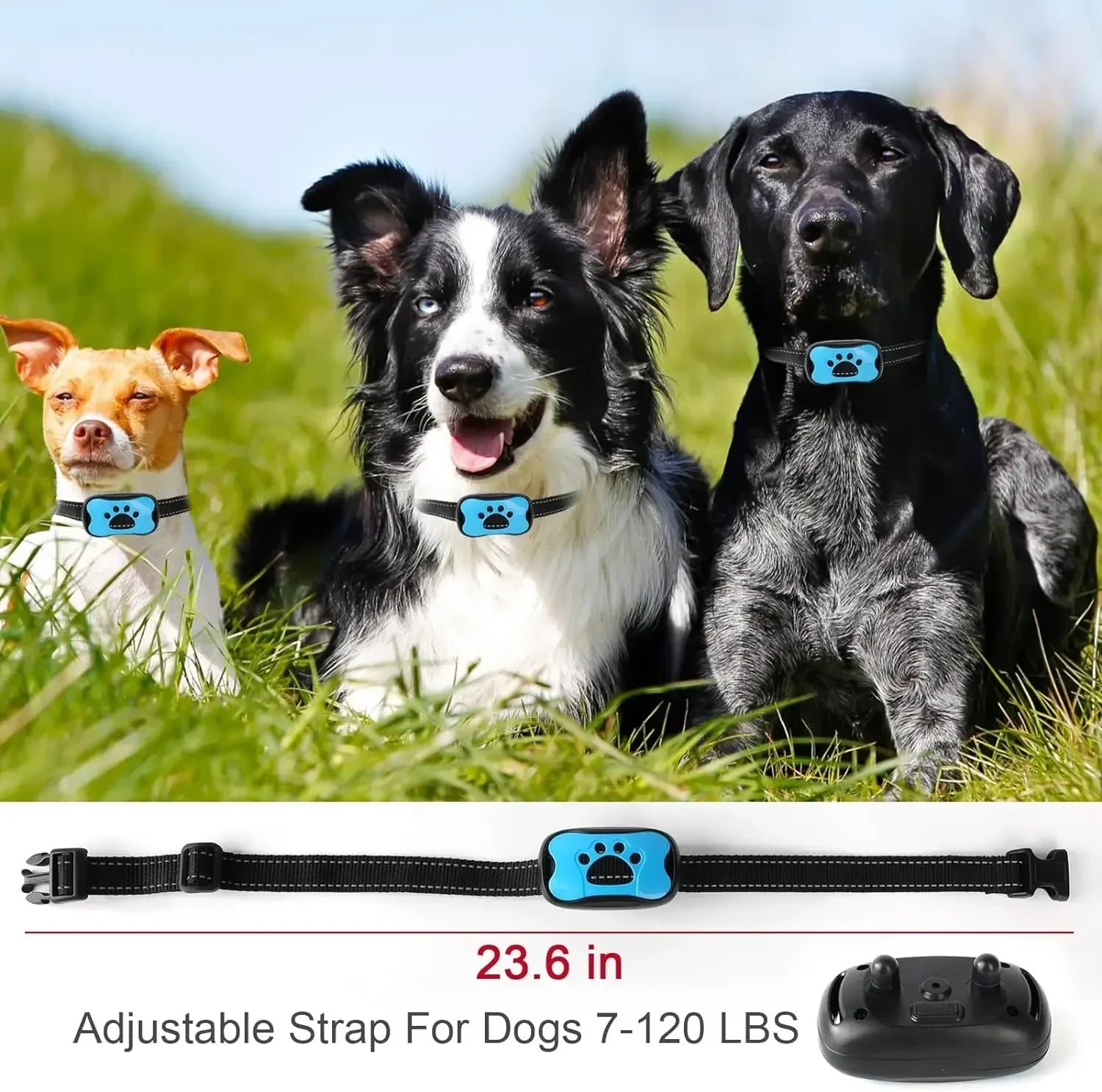 Maliben | Anti-Bark Dog Collar – Stop Unwanted Barking with the BarkBuddy Vibration Training Collar for Dogs