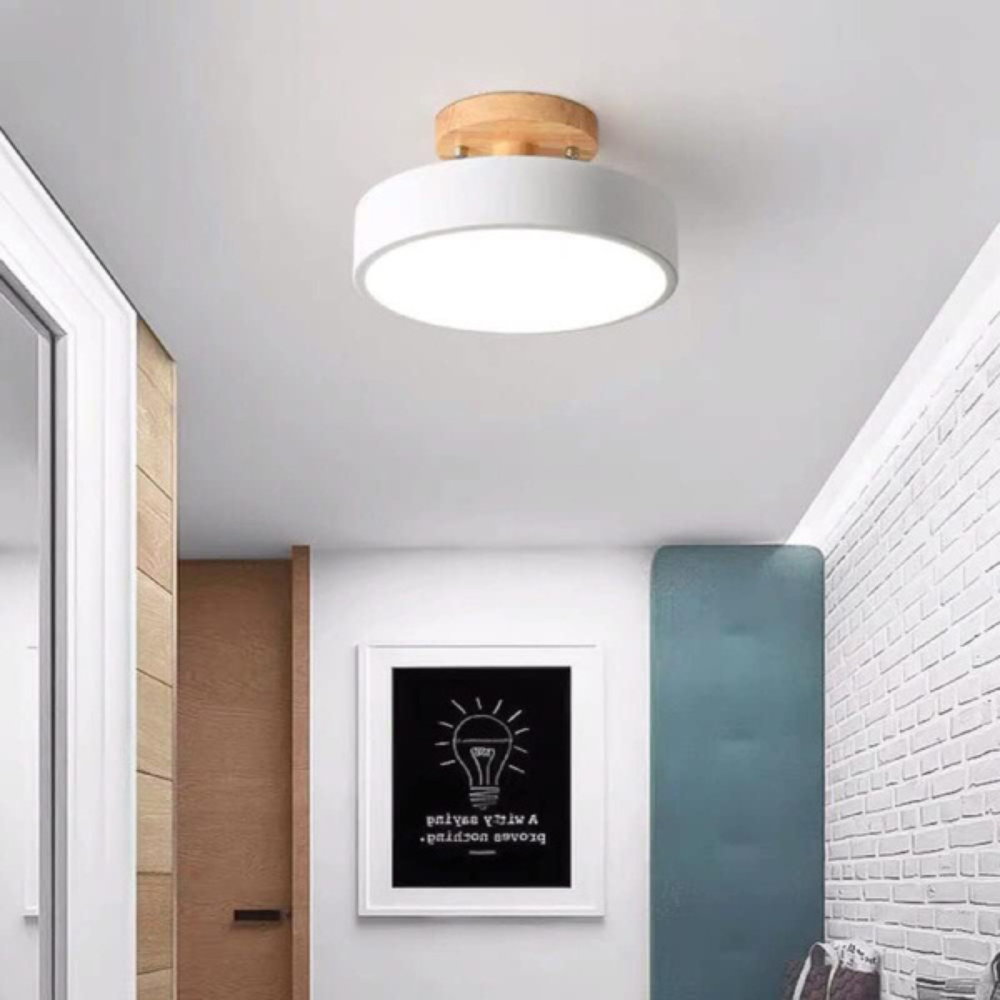 Maliben | Compact Modern Led Ceiling Lamp