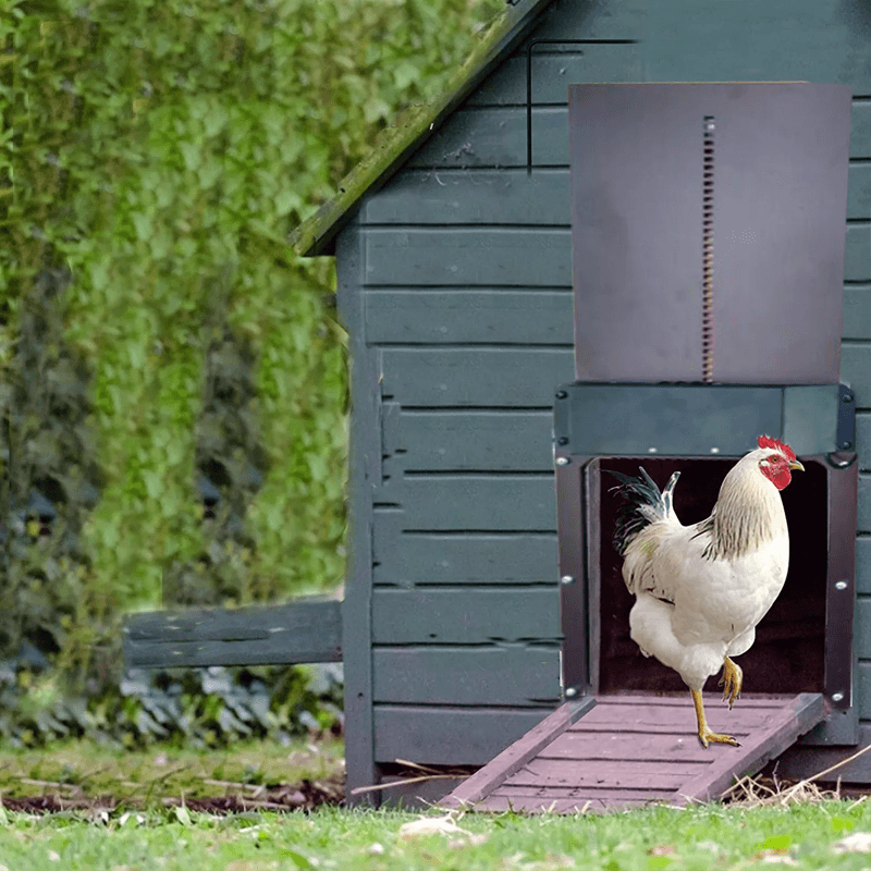 Maliben | Automatic Chicken Coop Door