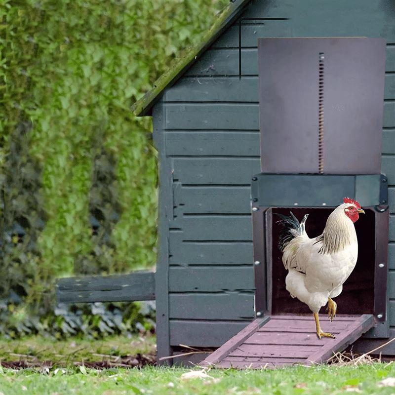 Maliben | Poultry Farm Automatic Chicken Coop Door