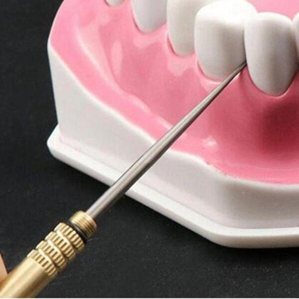 Maliben | Dental Cleaning Floss Toothpicks Keychain