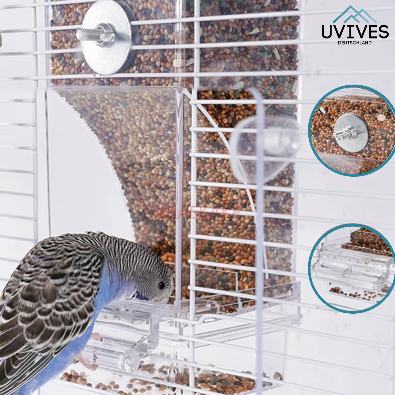 Maliben | Birdfeed – Clean Feeding, Satisfied Birds, Less Effort