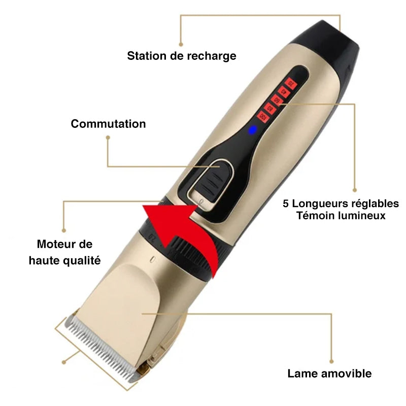 Maliben | Professional Pet Grooming Kit