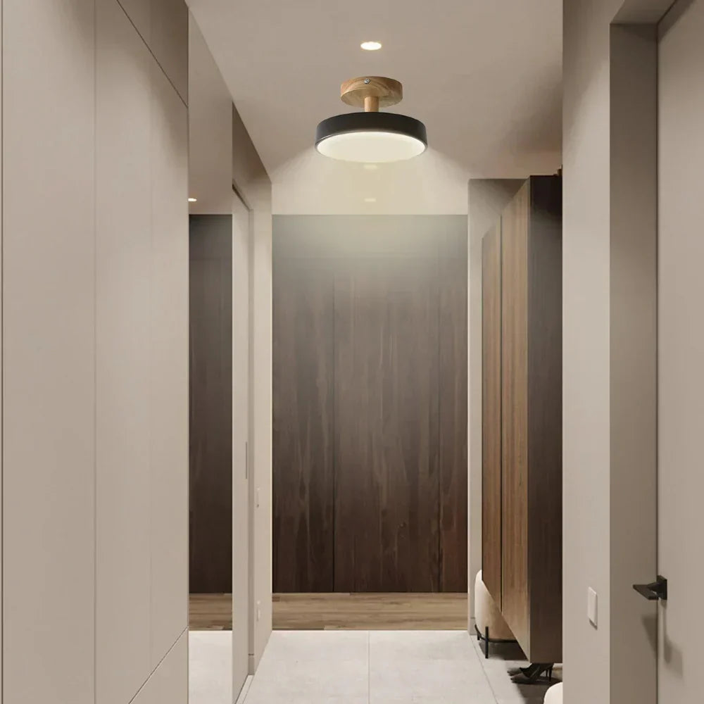 Maliben | Compact Modern Led Ceiling Lamp
