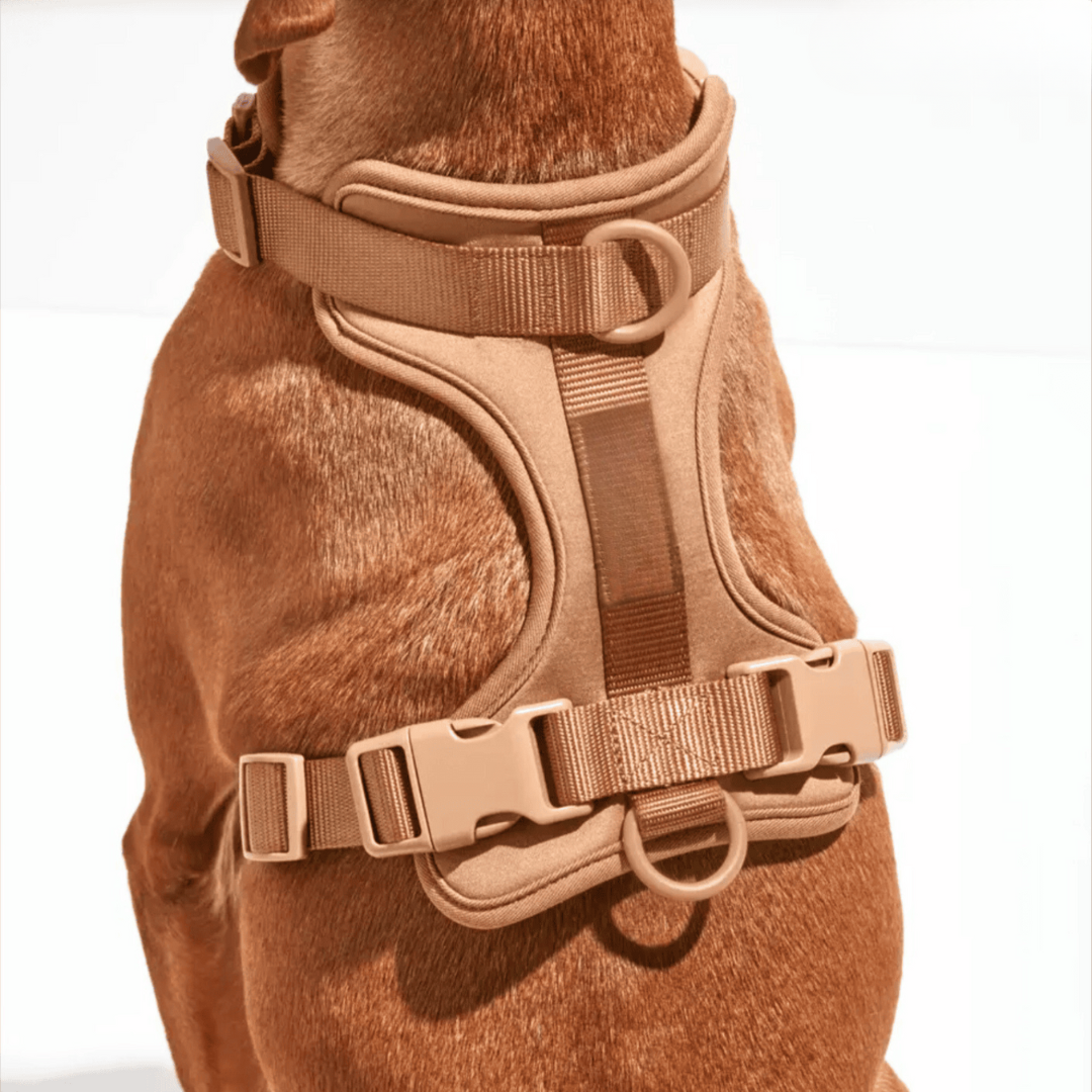Maliben | ComfyPaws Dog Harness Walking Set with Leash and Poop Bag Holder
