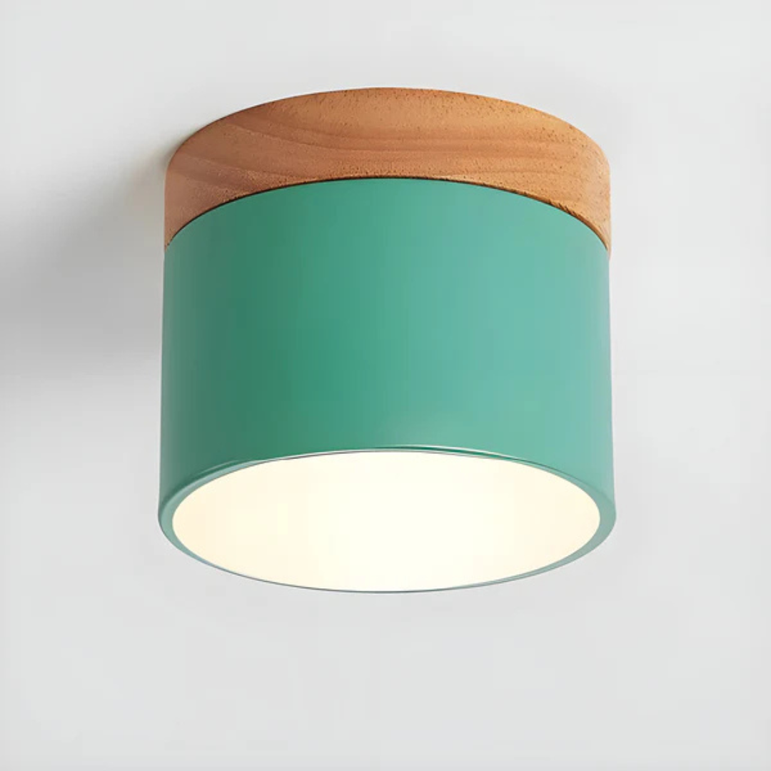 Maliben | Vintage Led Ceiling Lamp
