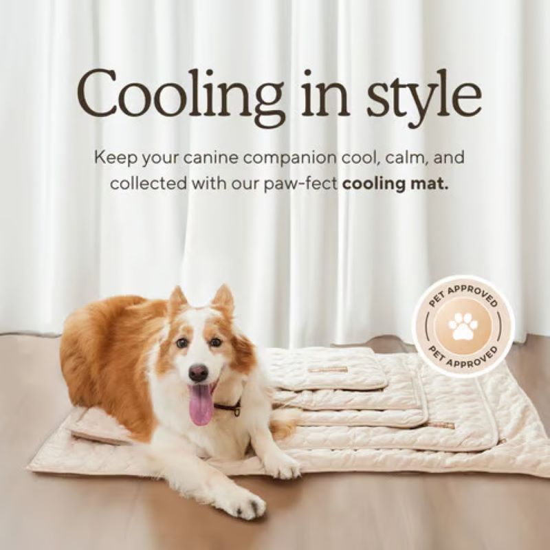 Maliben | Cooling Mat for Dogs (4x More Effective)