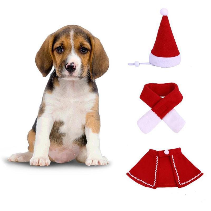Maliben | Festivapaws – Warm Festive Pet Outfits That Attract Attention
