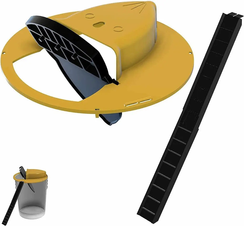 Maliben | Ramonasnap — Finally Stress-Free And Safely Free Your Home From Rats!