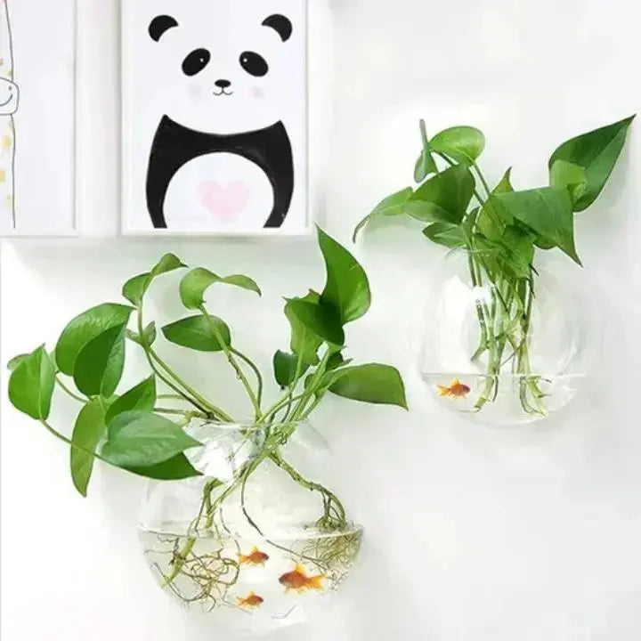 MAliben | WonderglAss — Give Your Walls a Fresh Kick For a Vibrant Home Without Effort