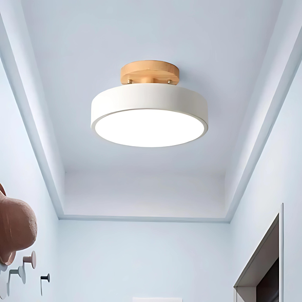 Maliben | Compact Modern Led Ceiling Lamp