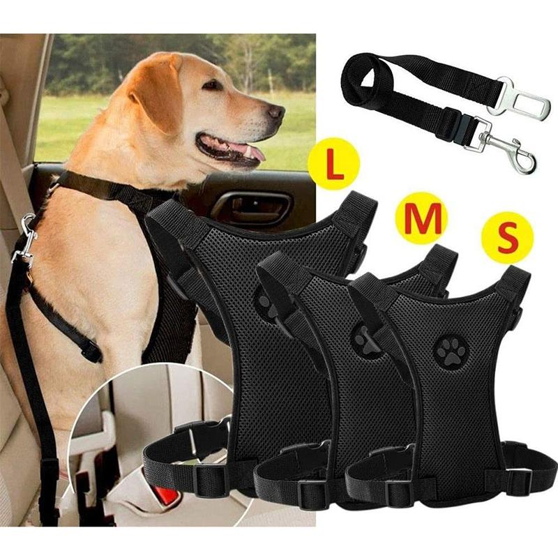 Maliben | Dog Safety Harness Set