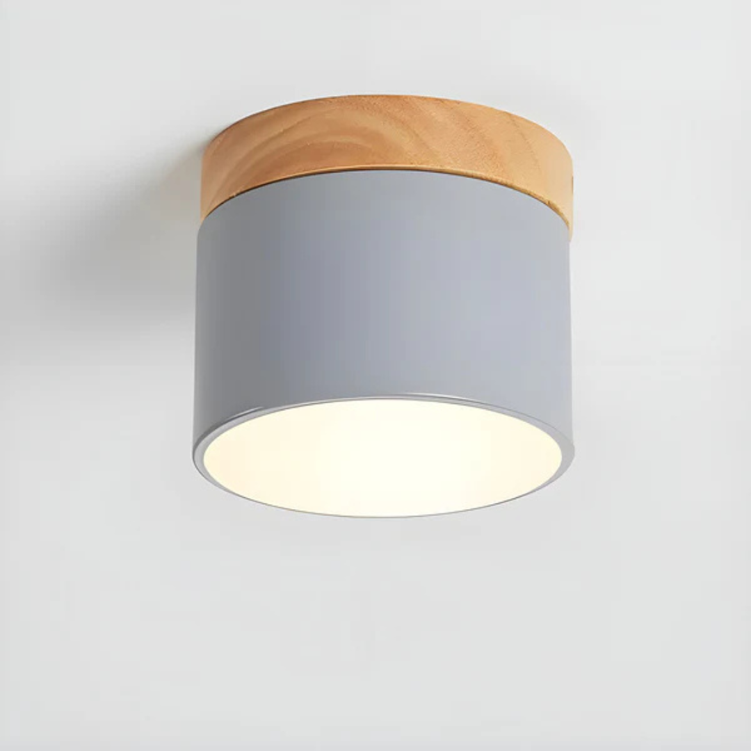 Maliben | Vintage Led Ceiling Lamp