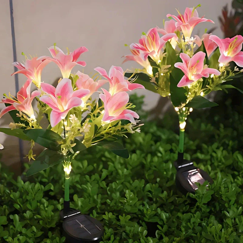 Maliben | Everbloom Solar Flower Lights