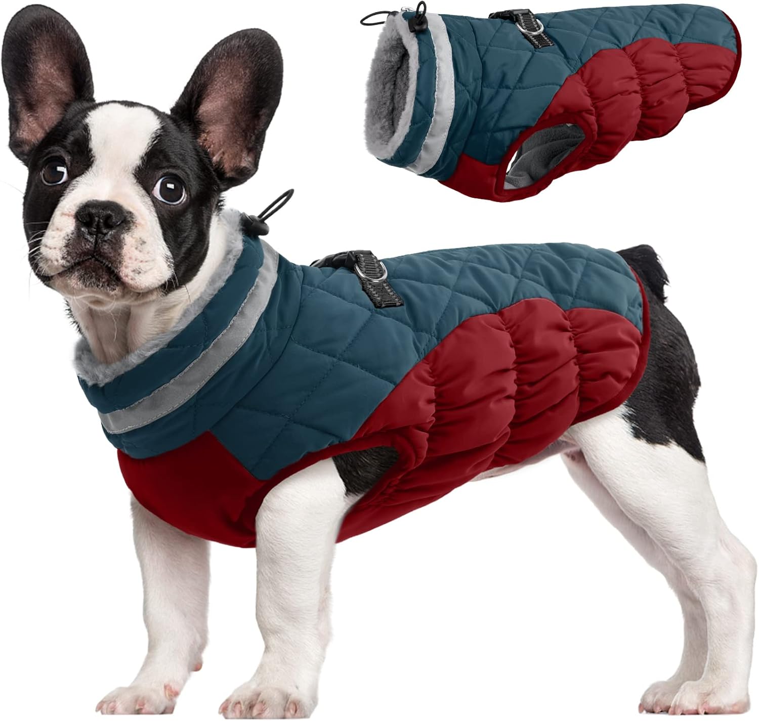 Maliben SafeWalk Winter Harness Jacket – Waterproof dog jacket with reflection and...