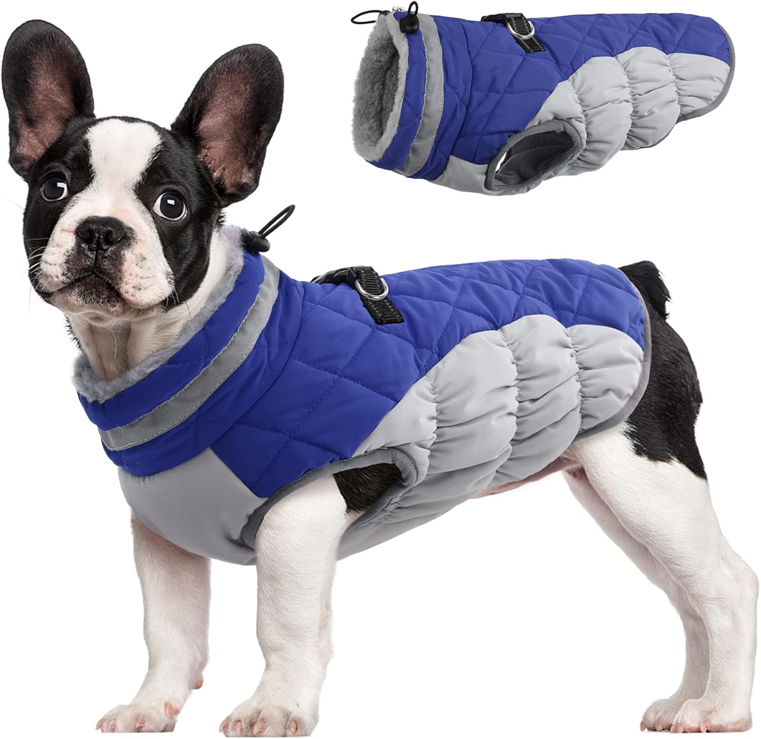 Maliben SafeWalk Winter Harness Jacket – Waterproof dog jacket with reflection and...