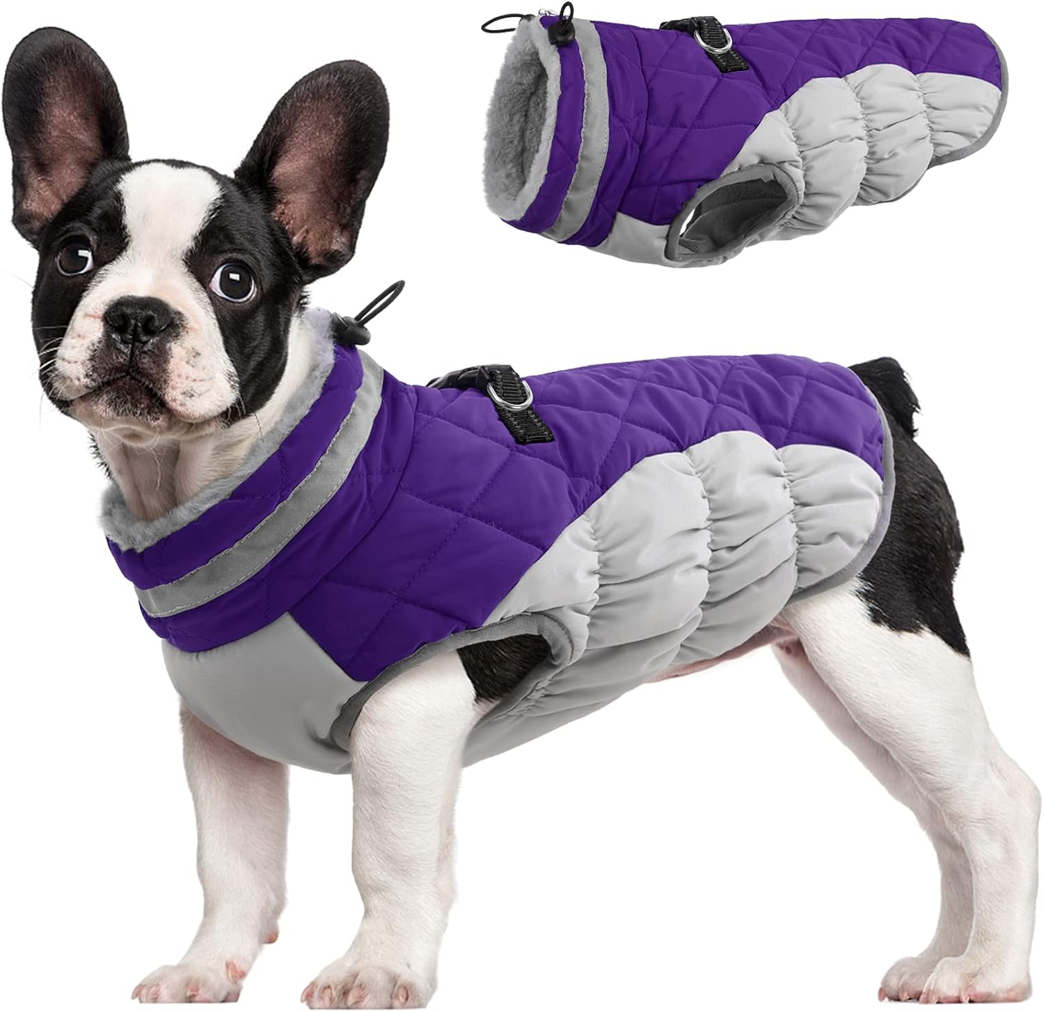 Maliben SafeWalk Winter Harness Jacket – Waterproof dog jacket with reflection and...