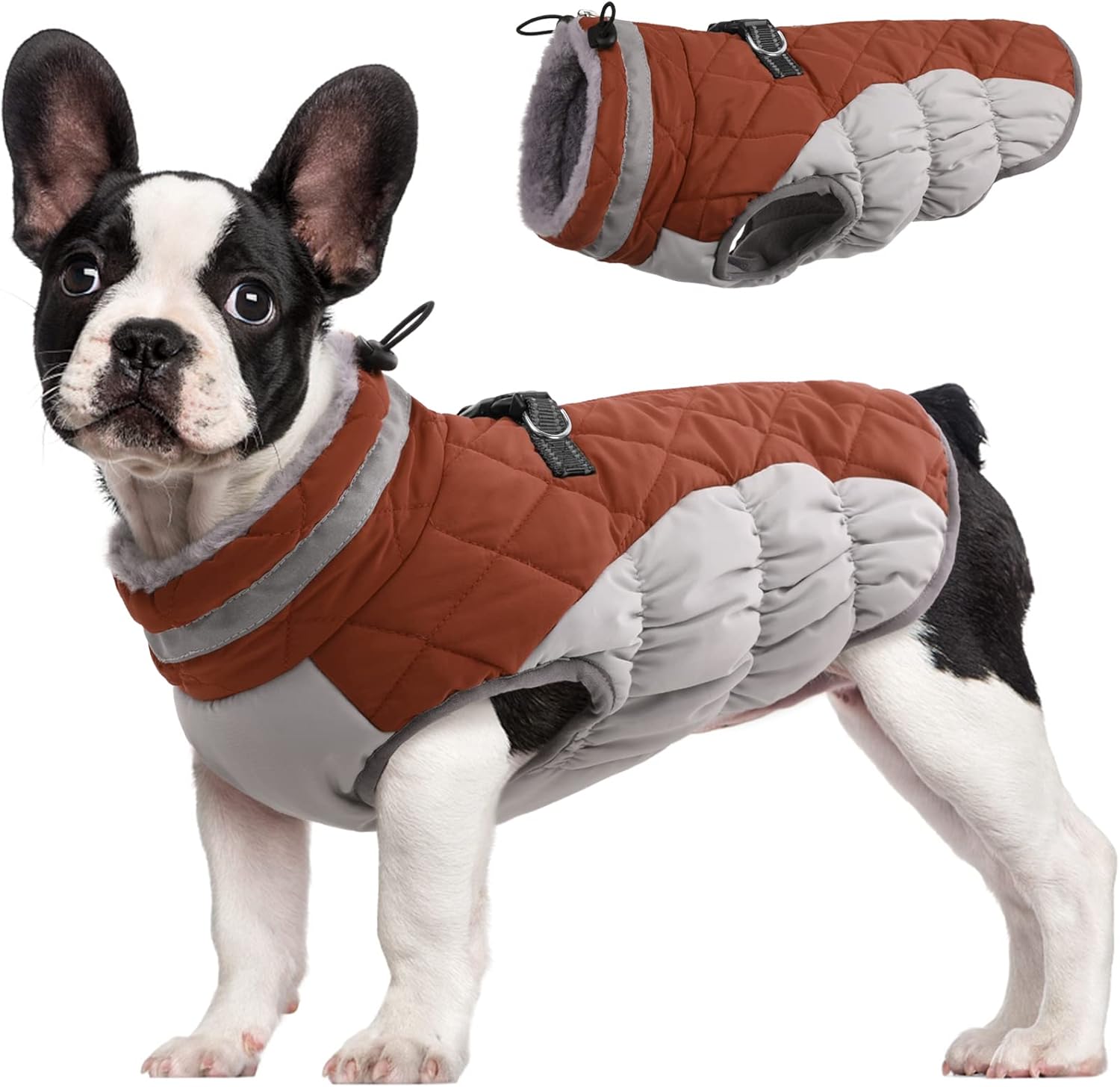 Maliben SafeWalk Winter Harness Jacket – Waterproof dog jacket with reflection and...