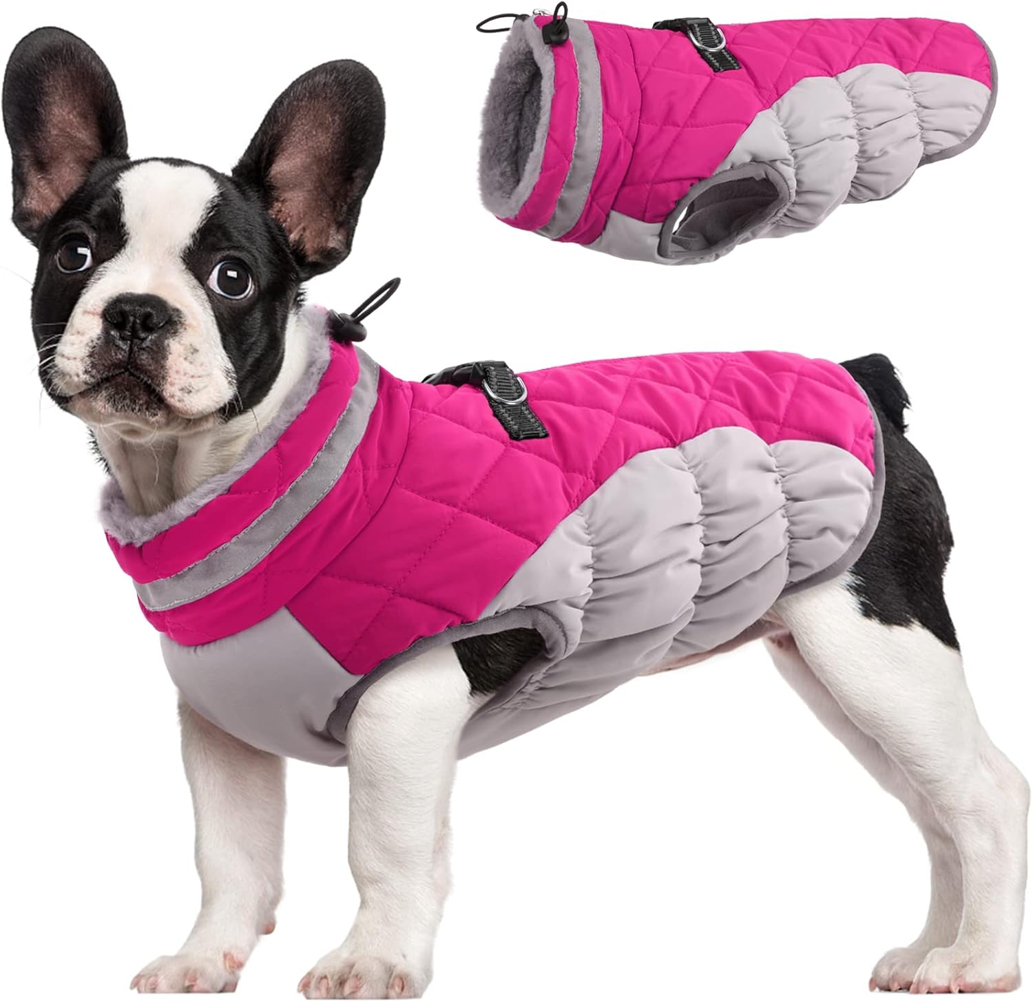 Maliben SafeWalk Winter Harness Jacket – Waterproof dog jacket with reflection and...