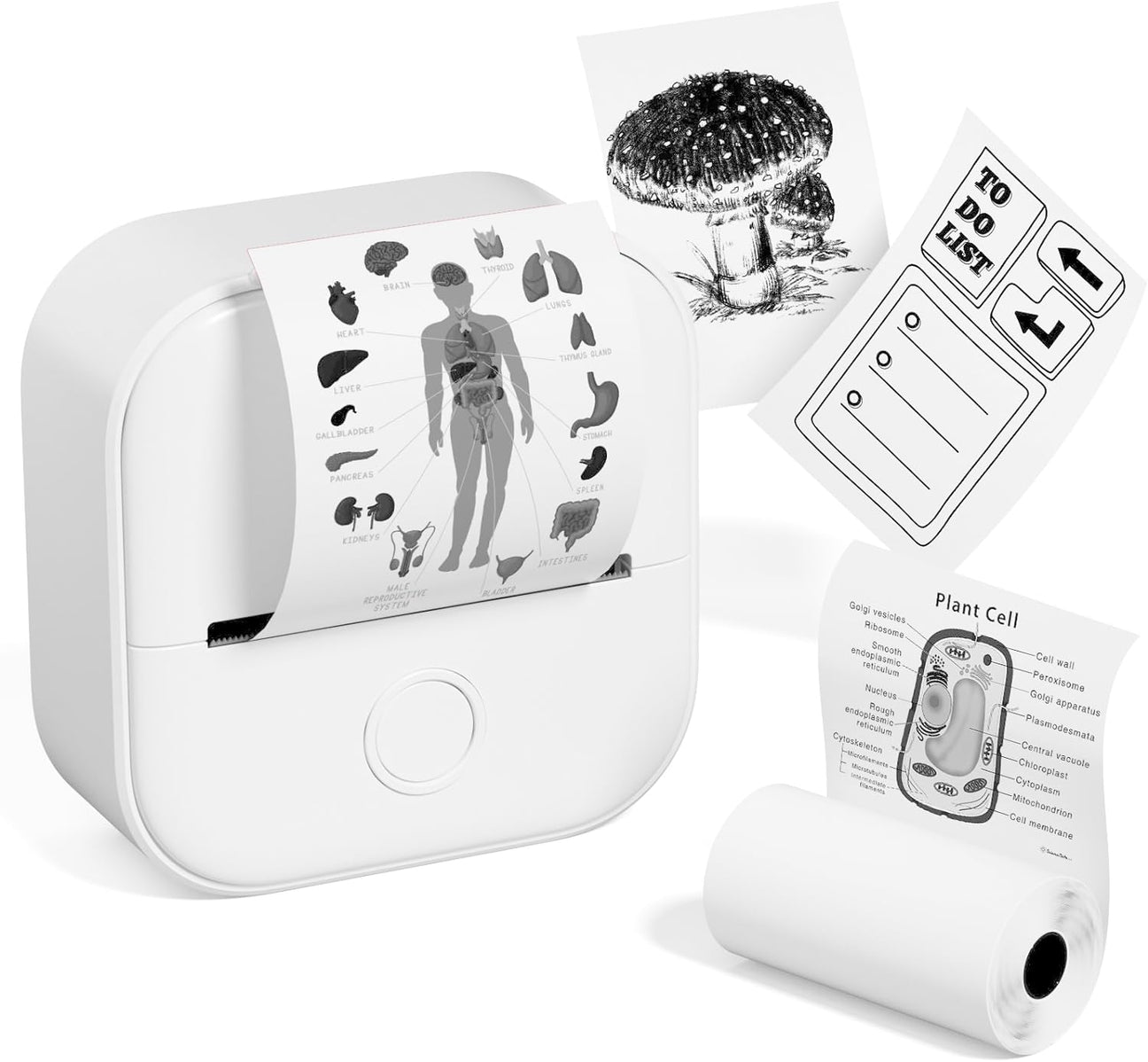 Maliben | Pocket Printer™ - Includes One Free Roll!