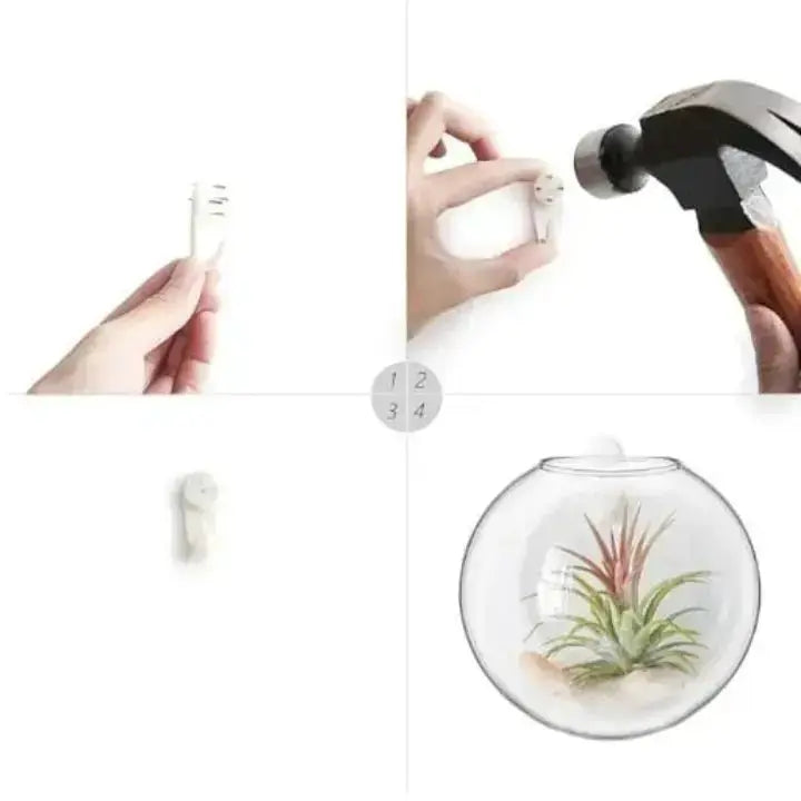 MAliben | WonderglAss — Give Your Walls a Fresh Kick For a Vibrant Home Without Effort