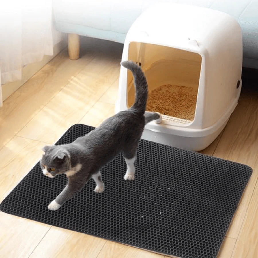MAliben | Streuchampion β Finally a Cozy Clean Home Without Cat Litter Chaos!