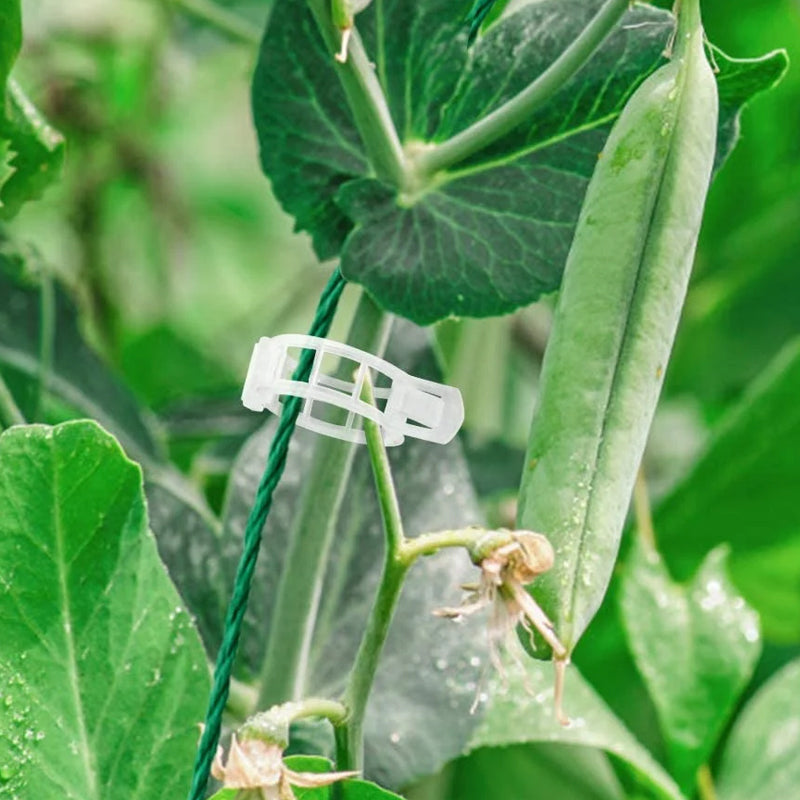 Maliben | Practical Plant Support Clip