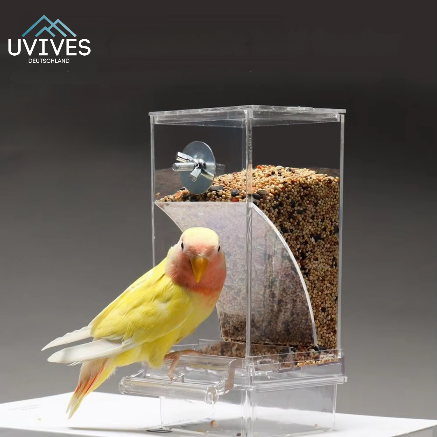 Maliben | Birdfeed – Clean Feeding, Satisfied Birds, Less Effort