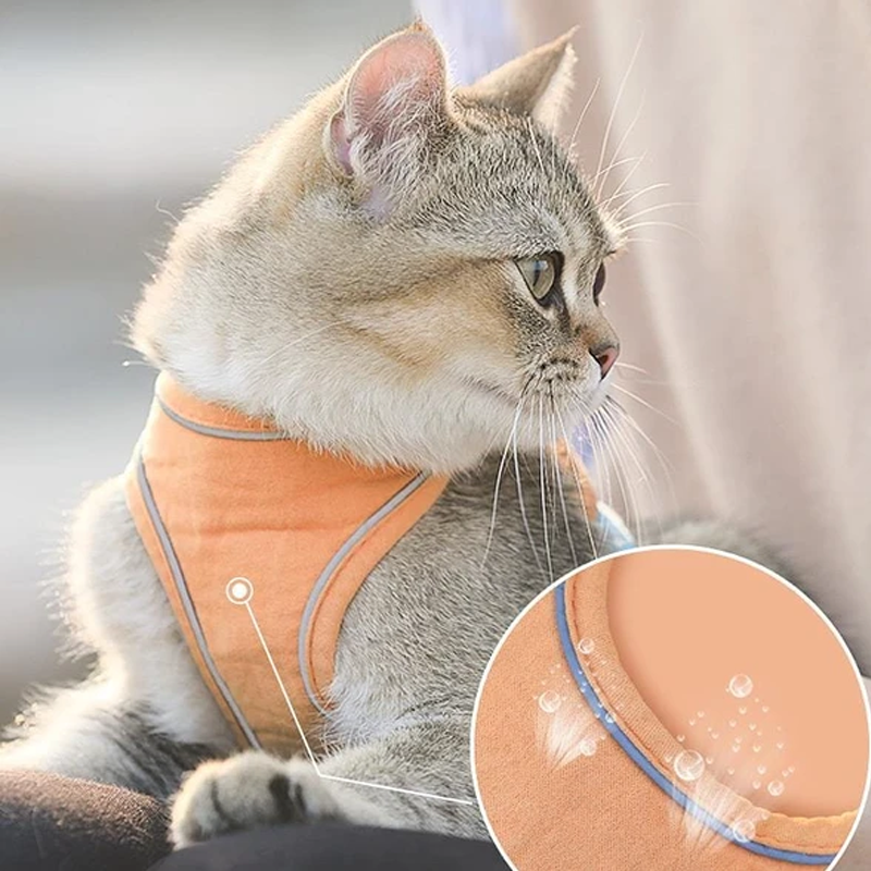 Maliben | Cat Vest Harness and Leash Set
