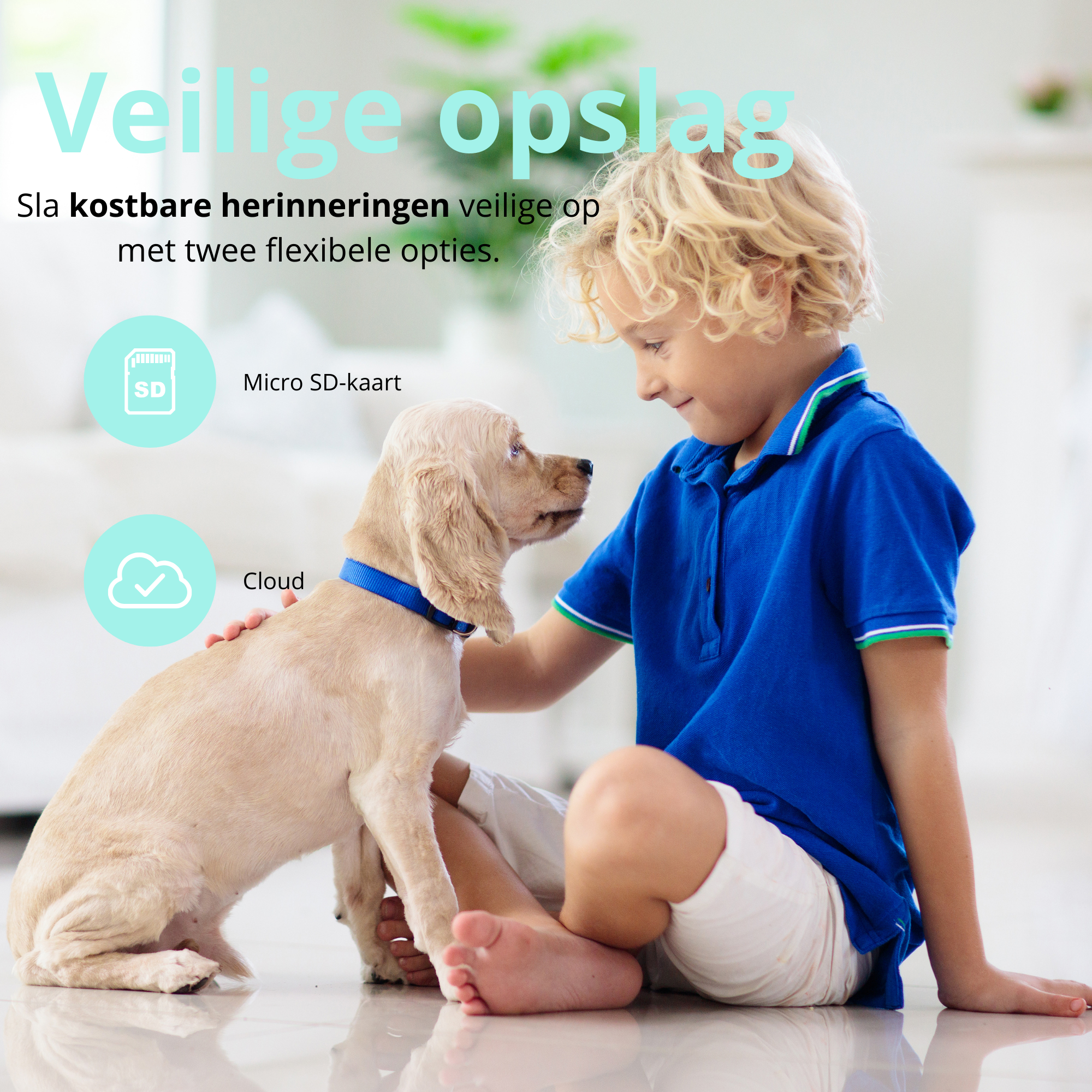 Maliben | Premiumpets Smart Camera - Stay Connected With Your Pet