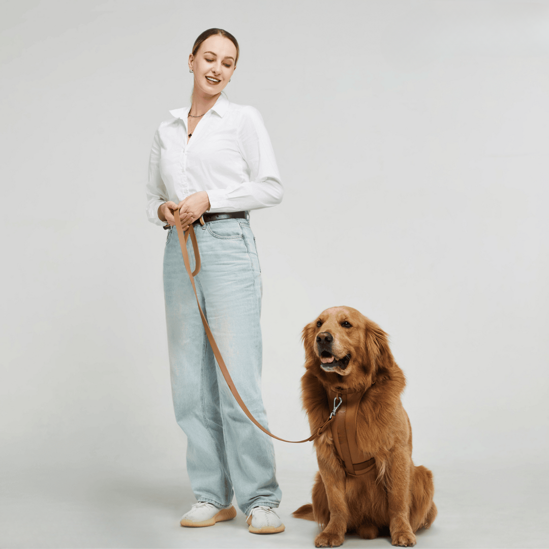 Maliben | ComfyPaws Dog Harness Walking Set with Leash and Poop Bag Holder