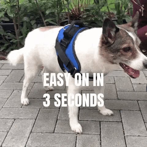 Maliben | Anti Choke Dog Harness