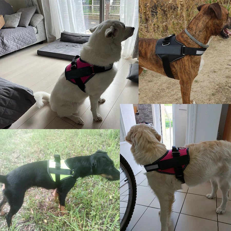 Maliben | Anti Choke Dog Harness