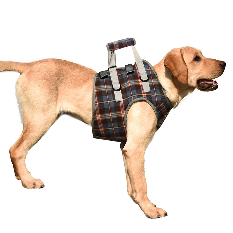 Maliben | Orthopedic Rear Leg Support Harness for Dogs – Ideal for Arthritis, Hip Dysplasia & Mobility Aid