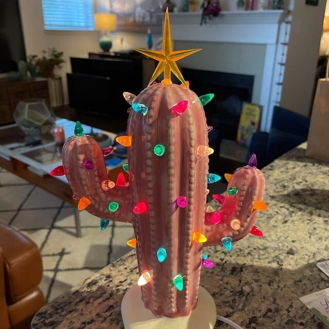 Maliben | Glowcactus – Simple Year-Round Festive Glow Without Any Watering