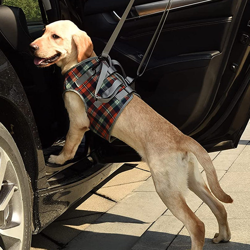Maliben | Orthopedic Rear Leg Support Harness for Dogs – Ideal for Arthritis, Hip Dysplasia & Mobility Aid