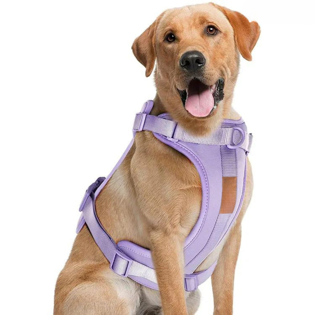 Maliben | ComfyPaws Dog Harness Walking Set with Leash and Poop Bag Holder