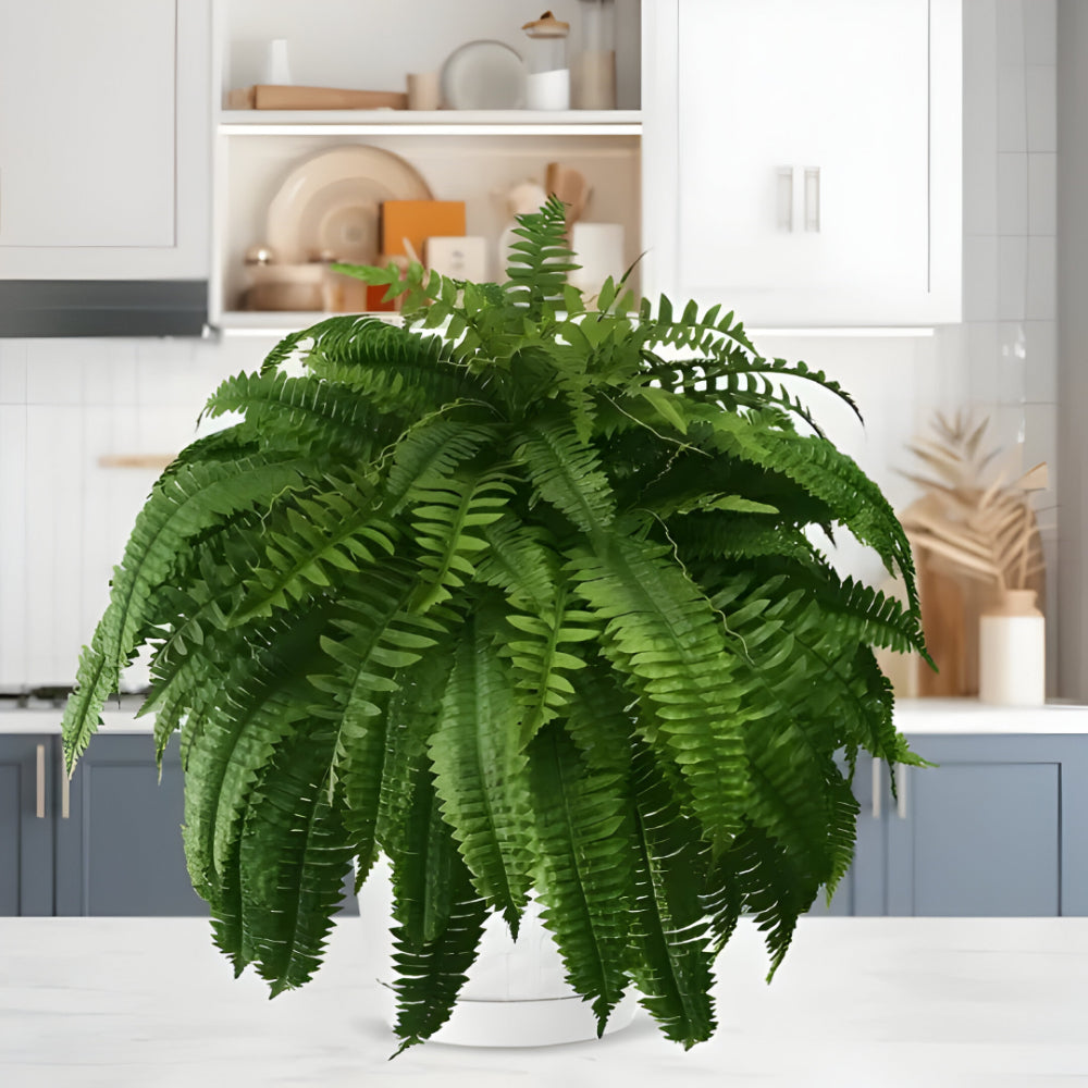 Maliben | Artificial Boston Fern Home Decor Plant